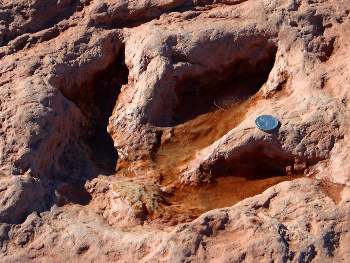 Featured is a photo of one big fossilized dinosaur footprint.  Photographer unknown.